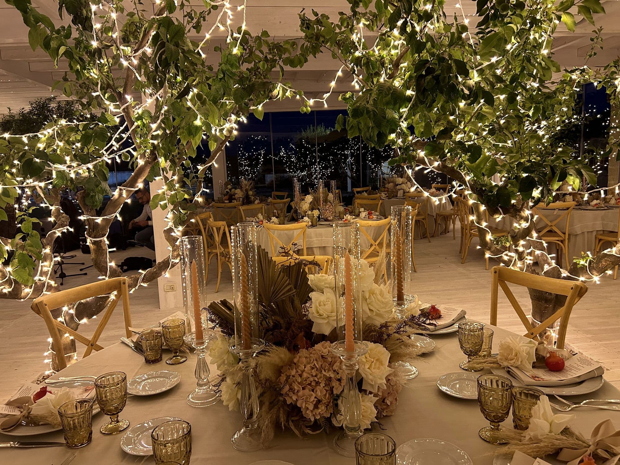 The celebration under trees dressed in fairy lights
